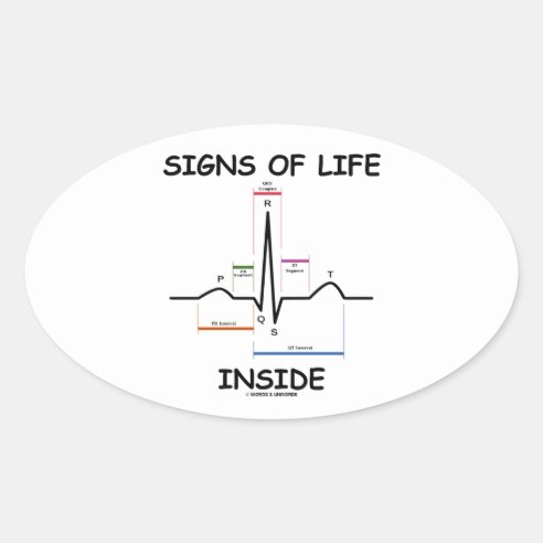 Ekg Stickers | Zazzle