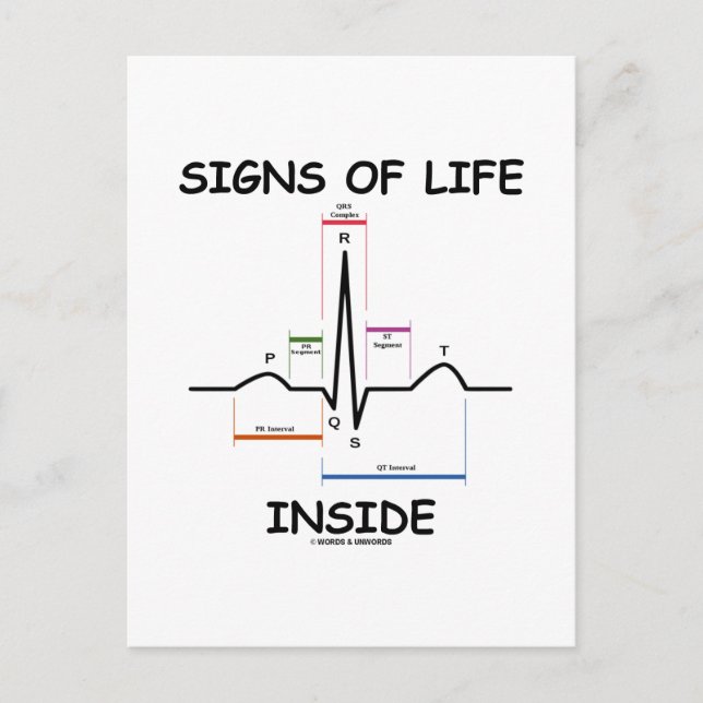 Signs Of Life Inside (ECG/EKG Heartbeat) Postcard (Front)