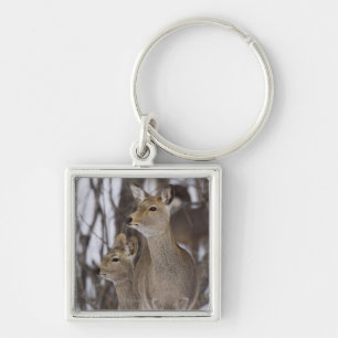 Sika Deer Doe and Young, Hokkaido, Japan Keychain