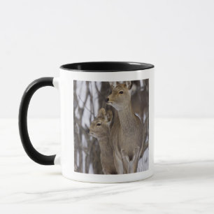 Sika Deer Doe and Young, Hokkaido, Japan Mug
