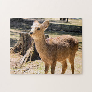 Sika Deer in Nara Park Jigsaw Puzzle