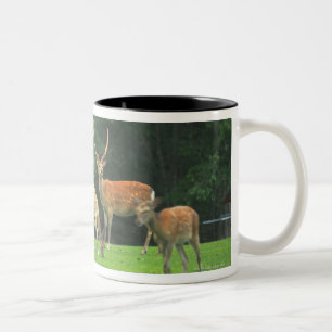 Sika deer standing in a clearing Two-Tone coffee mug
