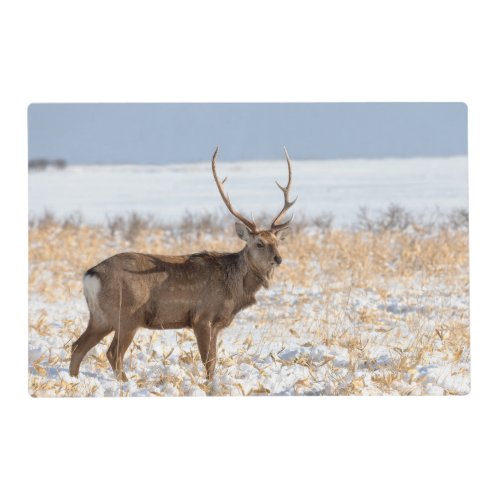 Sika Stag In a Snowy Field  Japan Placemat