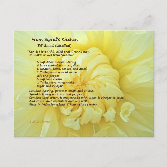 Sil Salad Recipe Postcard (Front)