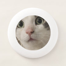 Silas the Cat Frisbee