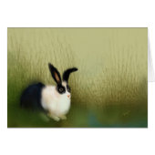 Silence at the Cape (Front Horizontal)