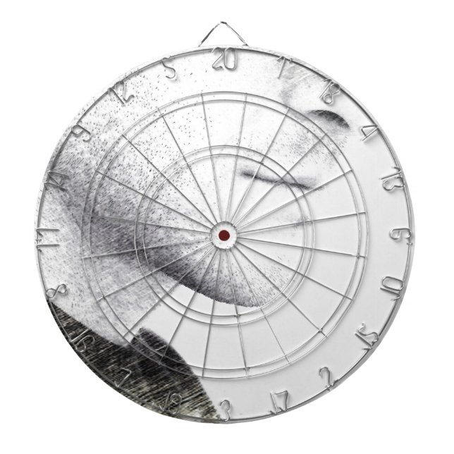 Silence Dart Board (Front)