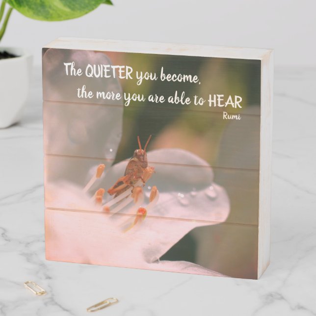 Silence Inspirational Rumi Quote  Wooden Box Sign (In Situ Horizontal)
