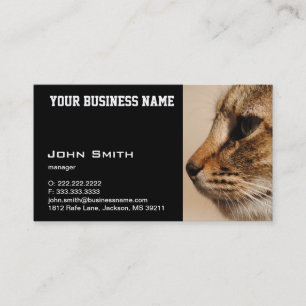 Silent Cat business card