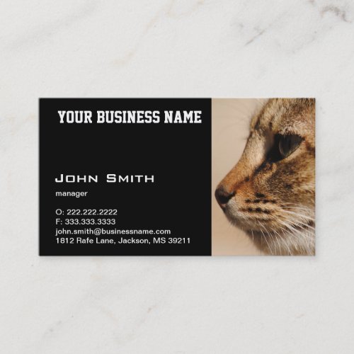 Silent Cat business card