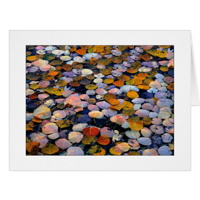 "Silent Drift" (Front Horizontal)