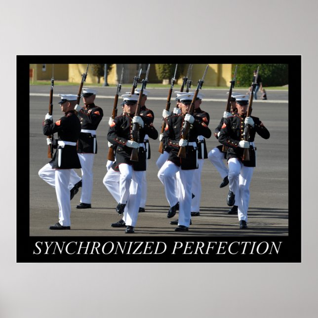 Silent Drill Platoon (USMC) Poster (Front)