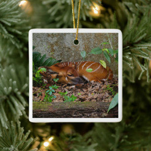 Silent Night Mountain Bongo Antelope Calf Ceramic Ornament