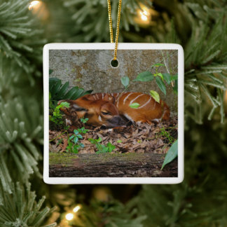 Silent Night Mountain Bongo Antelope Calf Ceramic Ornament
