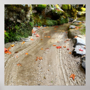 Silent Passage — Japanese Wabi-Sabi Photo Poster
