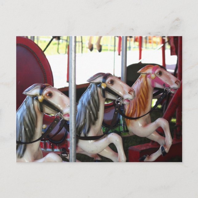 Silent Racers Carousel Horse Photo Postcard (Front)