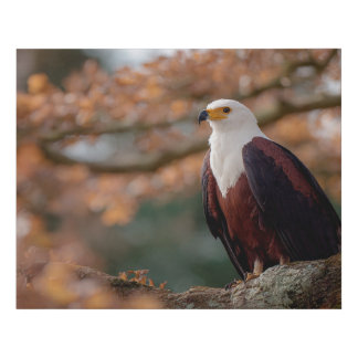 Silent Sovereign of the Golden Canopy Faux Canvas Print