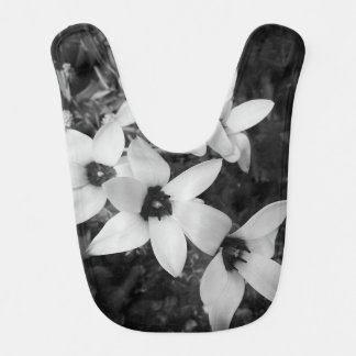 Silent Symmetry Baby Bib