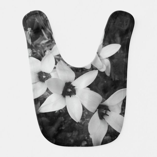 Silent Symmetry Baby Bib (Front)