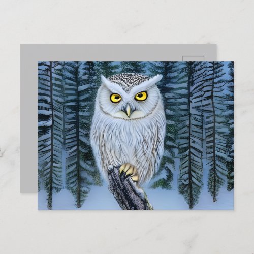 Silent Watch _ Northern Winter Woods Gray Owl Postcard