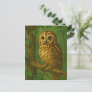 Silent Watcher of the Forest Postcard