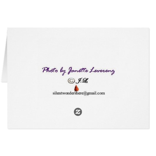 Silent wonders blank greeting card Monarch (Back Horizontal)