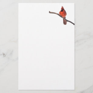 Silent wonders stationary Cardinal Stationery