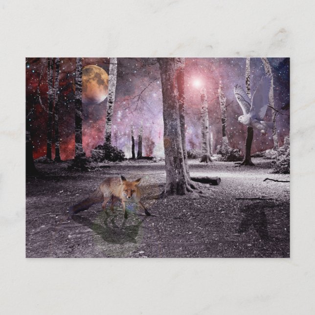 Silent Wood Postcard (Front)