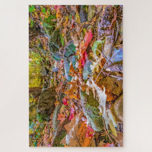 Silent World of the Fall Forest Floor in Oak Creek Jigsaw Puzzle