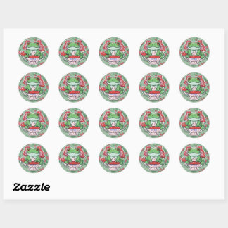 Silently Judging You – Cute Frog Cottagecore Stick Classic Round Sticker