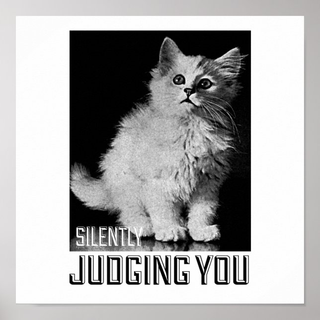 Silently Judging You Poster (Front)