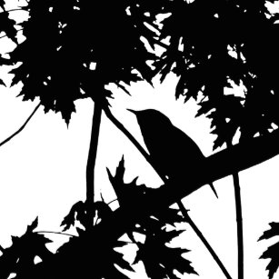 silhouette black white house gifts on zazzle