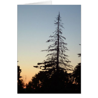 Silhouette Cards