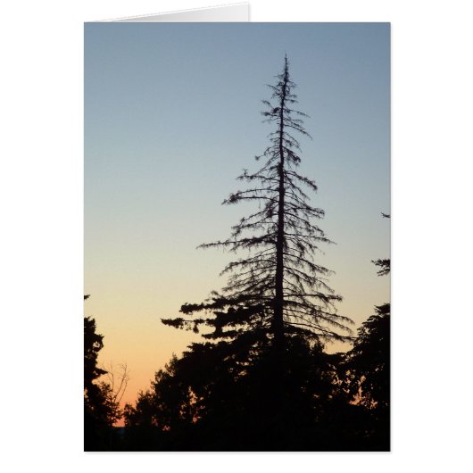 Silhouette Cards (Front)