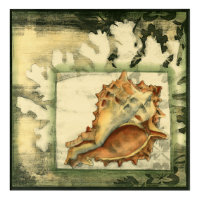 Silhouette Conch Shell