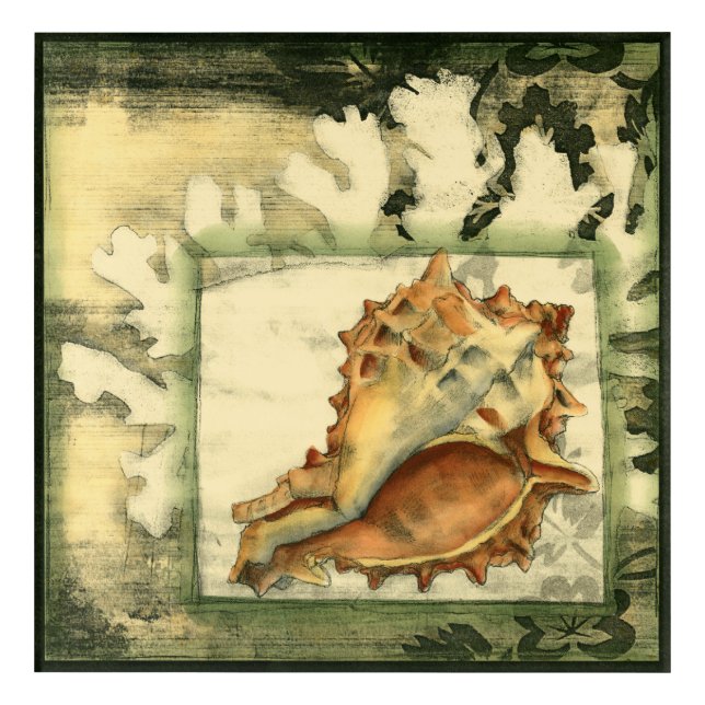 Silhouette Conch Shell Acrylic Print (Front)