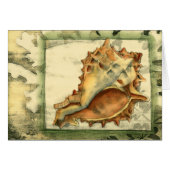 Silhouette Conch Shell Cards (Front Horizontal)
