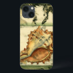 Silhouette Conch Shell iPhone 13 Case<br><div class="desc">Stay relaxed with this piece of contemporary art by Jennifer Goldberger. Her collection of seashell art is relaxing and inspirational. This piece of art focuses on a large Conch seashell surrounded by green coral reef. Get this beautiful ocean art today with a silhouette feel on your next product.</div>