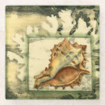 Silhouette Conch Shell Glass Coaster<br><div class="desc">Stay relaxed with this piece of contemporary art by Jennifer Goldberger. Her collection of seashell art is relaxing and inspirational. This piece of art focuses on a large Conch seashell surrounded by green coral reef. Get this beautiful ocean art today with a silhouette feel on your next product.</div>