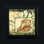 Silhouette Conch Shell Jewelry Box<br><div class="desc">Stay relaxed with this piece of contemporary art by Jennifer Goldberger. Her collection of seashell art is relaxing and inspirational. This piece of art focuses on a large Conch seashell surrounded by green coral reef. Get this beautiful ocean art today with a silhouette feel on your next product.</div>
