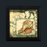 Silhouette Conch Shell Jewelry Box<br><div class="desc">Stay relaxed with this piece of contemporary art by Jennifer Goldberger. Her collection of seashell art is relaxing and inspirational. This piece of art focuses on a large Conch seashell surrounded by green coral reef. Get this beautiful ocean art today with a silhouette feel on your next product.</div>