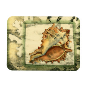 Silhouette Conch Shell Magnet