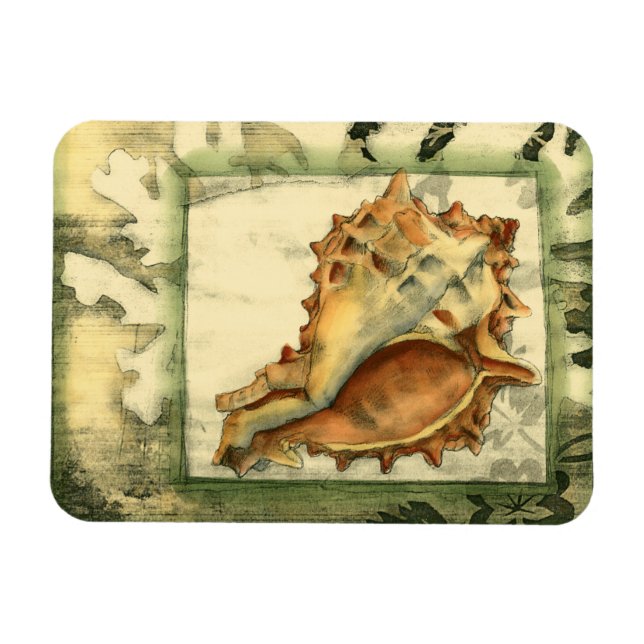 Silhouette Conch Shell Magnet (Horizontal)
