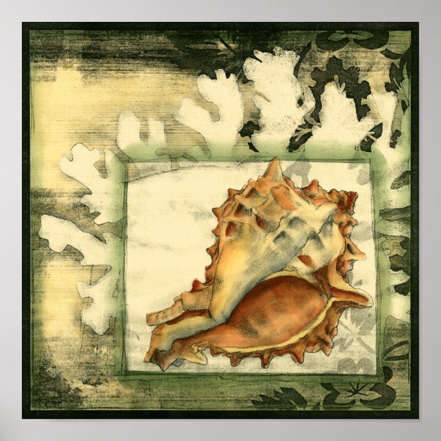 Silhouette Conch Shell Poster (Front)
