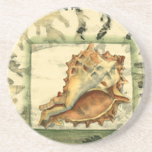 Silhouette Conch Shell Sandstone Coaster