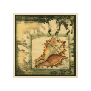 Silhouette Conch Shell Wood Wall Art