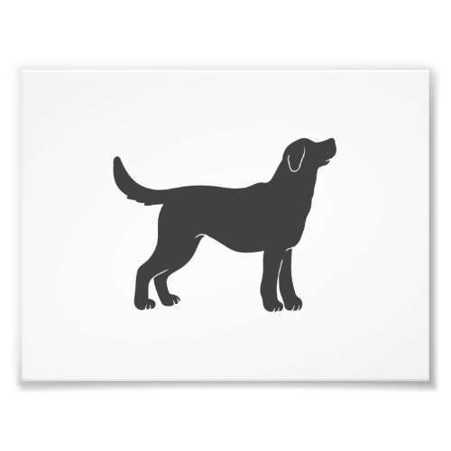 Silhouette dog standing _ Choose background color Photo Print