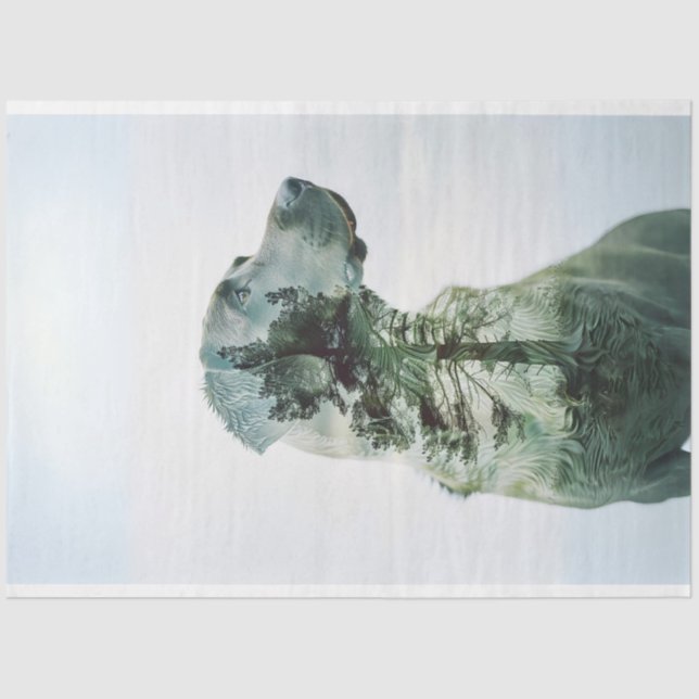 Silhouette Lab Exposed Film Decoupage  Tissue Paper (Front)