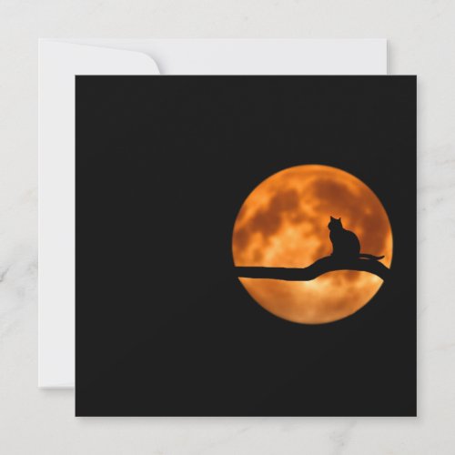 Silhouette of a Black Cat in a Tree Card