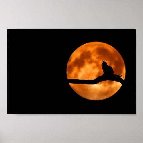 Silhouette of a Black Cat in a Tree Poster